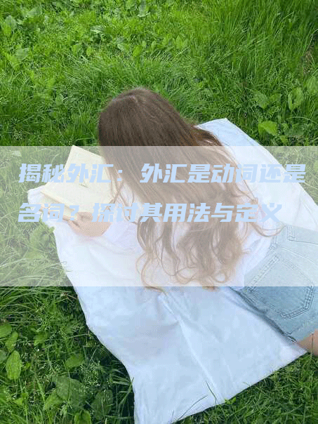 揭秘外汇：外汇是动词还是名词？探讨其用法与定义