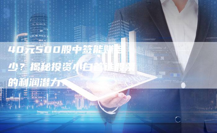 40元500股中签能赚多少？揭秘投资小白首选股票的利润潜力！