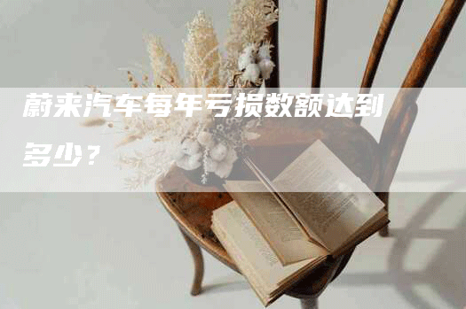 蔚来汽车每年亏损数额达到多少？