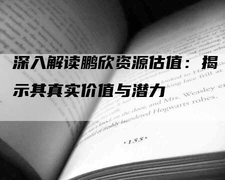 深入解读鹏欣资源估值：揭示其真实价值与潜力