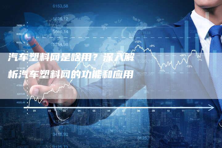 汽车塑料网是啥用？深入解析汽车塑料网的功能和应用