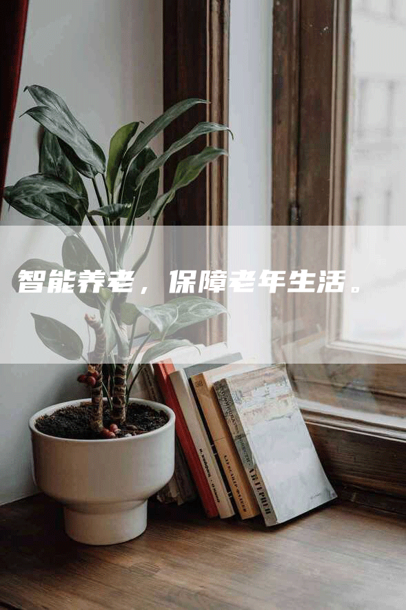 智能养老，保障老年生活。