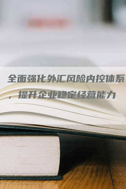 全面强化外汇风险内控体系，提升企业稳定经营能力