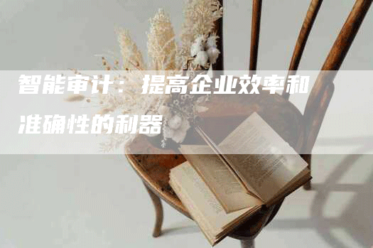 智能审计：提高企业效率和准确性的利器