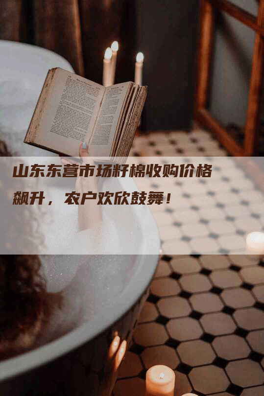 山东东营市场籽棉收购价格飙升，农户欢欣鼓舞！