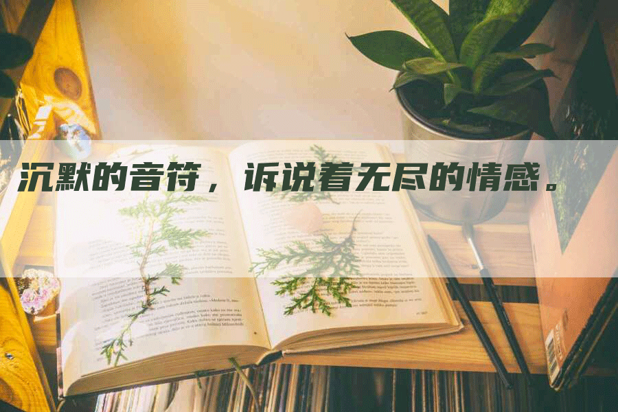 沉默的音符，诉说着无尽的情感。