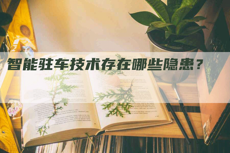 智能驻车技术存在哪些隐患？